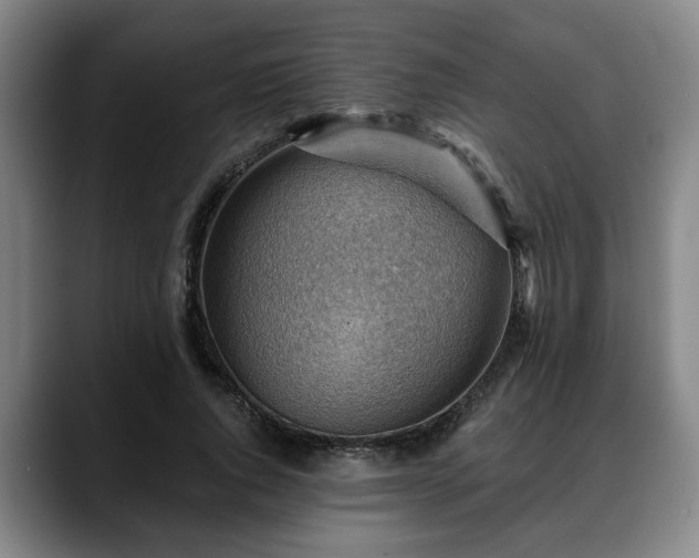 X0000088830736200706141520