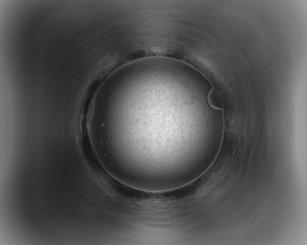 X0000088830738200706141520