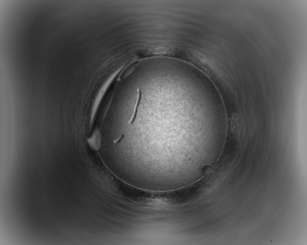 X0000088830741200706141520