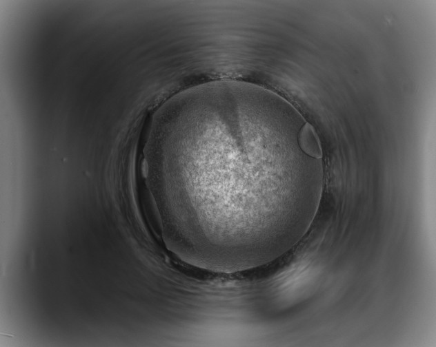 X0000088830742200706141520