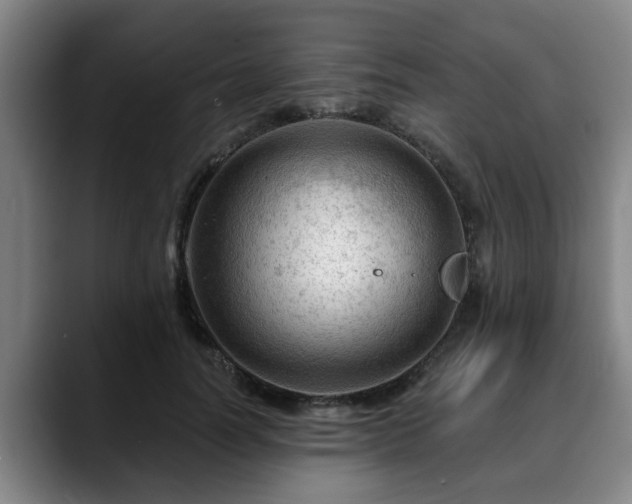 X0000088830746200706141520