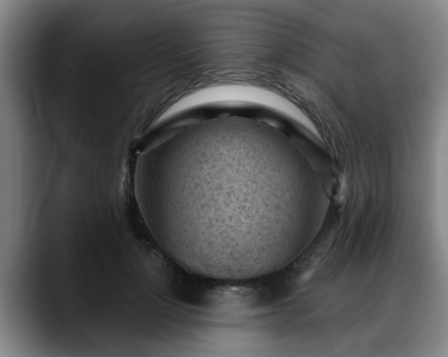 X0000088830748200706141520