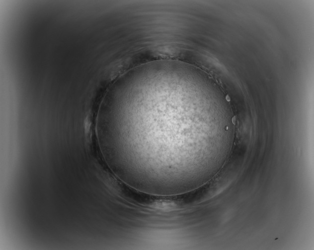 X0000088830749200706141520