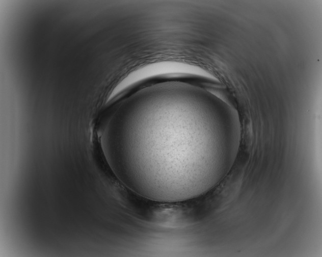 X0000088830750200706141520