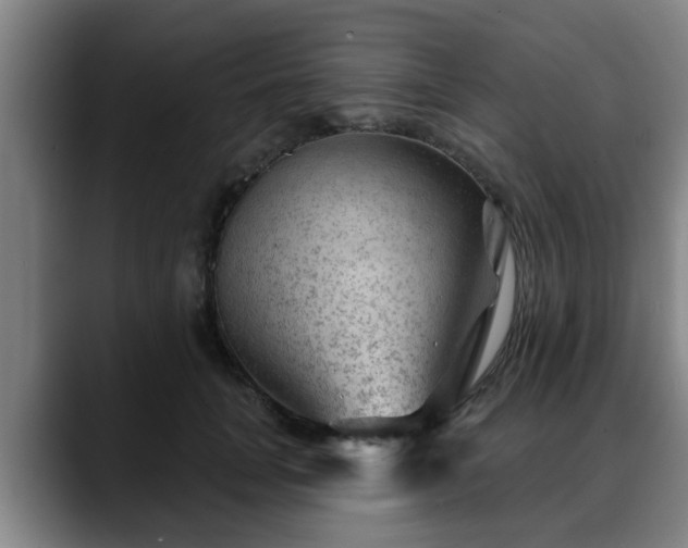 X0000088830751200706141520