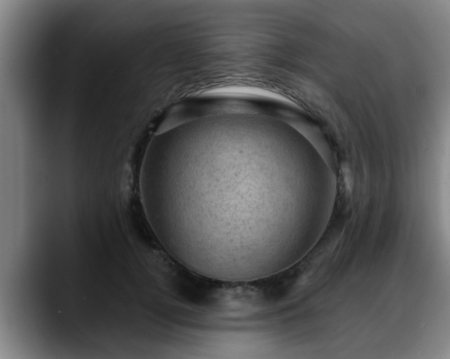 X0000088830752200706141520