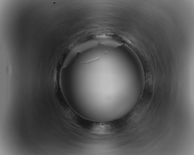 X0000088830754200706141520