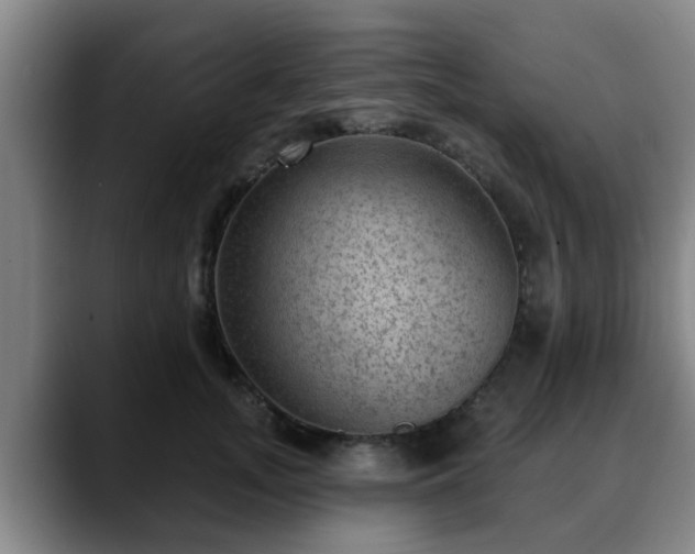 X0000088830755200706141520