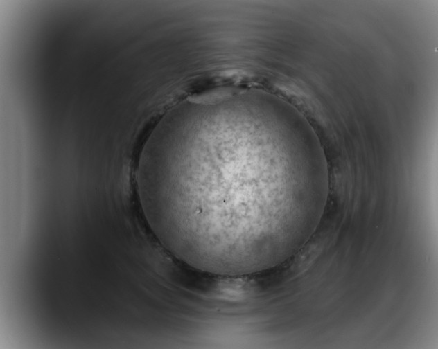 X0000088830757200706141520