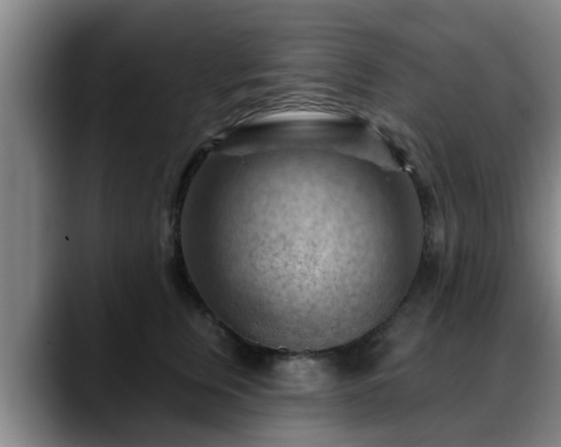 X0000088830759200706141520