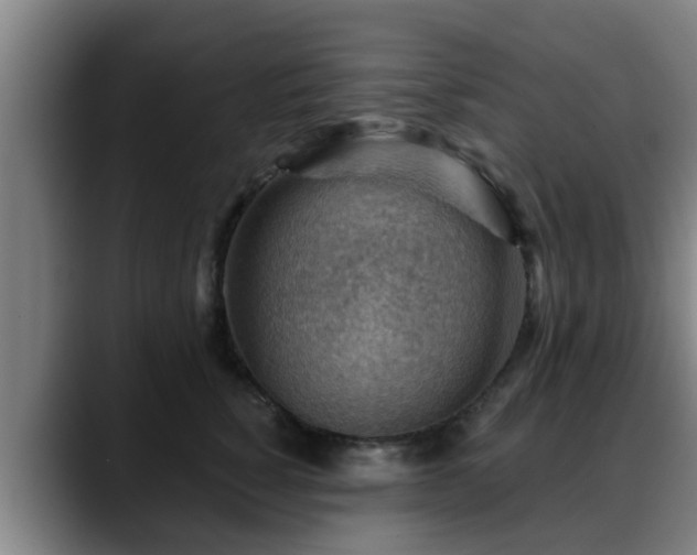 X0000088830760200706141520