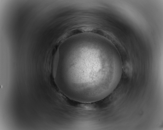 X0000088830763200706141520
