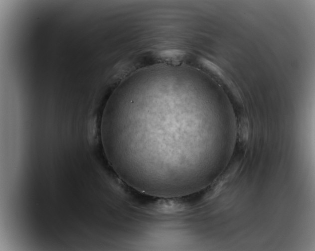 X0000088830764200706141520