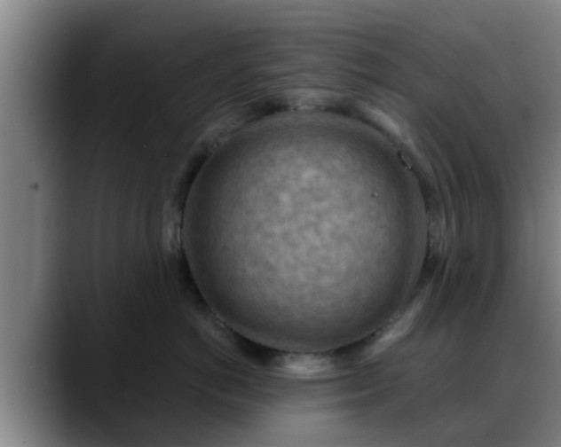 X0000088830766200706141520