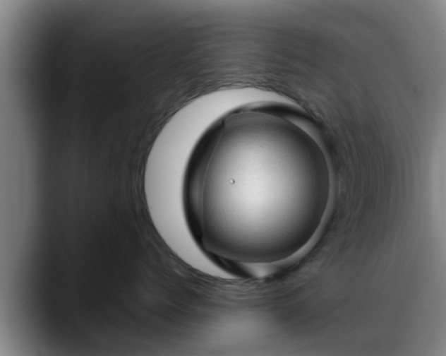 X0000088830768200706141520