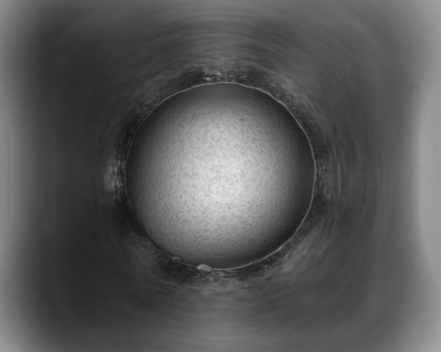 X0000088830770200706141520