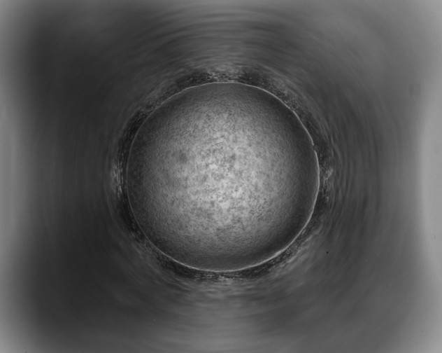 X0000088830772200706141520