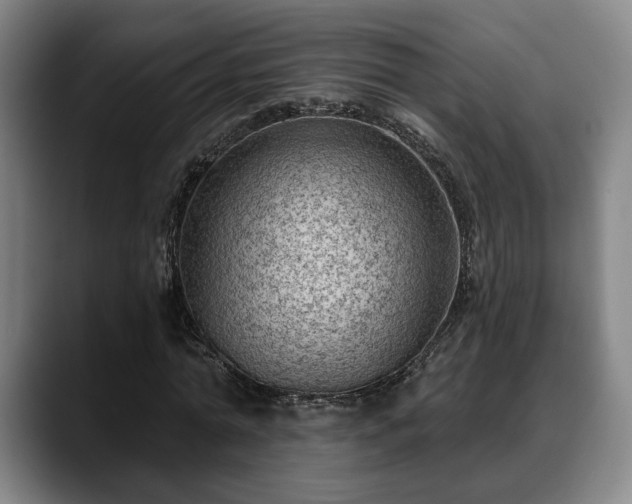 X0000088830774200706141520