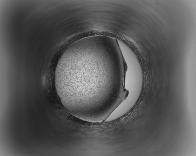 X0000088830776200706141520