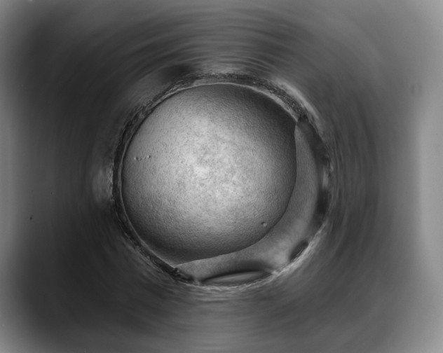 X0000088830777200706141520