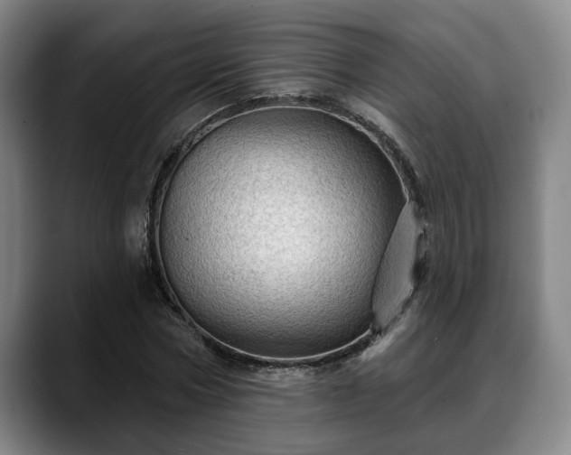 X0000088830778200706141520