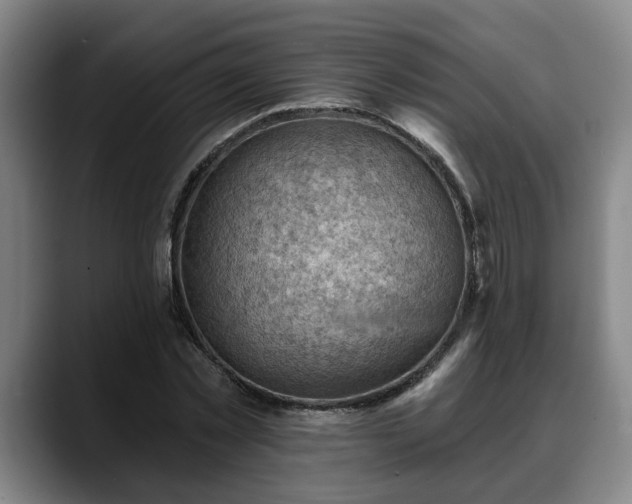 X0000088830781200706141520