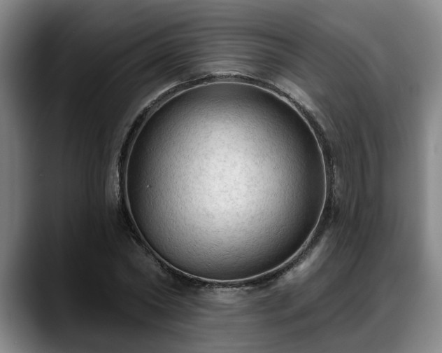 X0000088830782200706141520