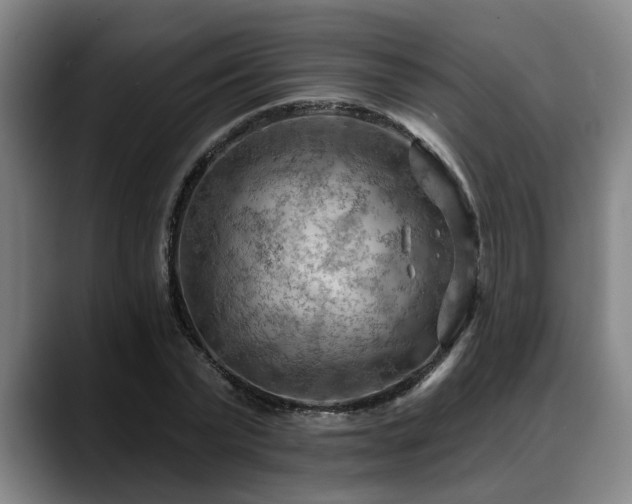 X0000088830783200706141520