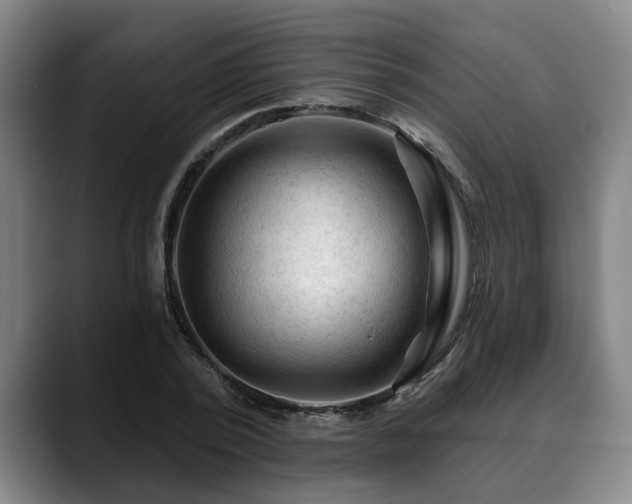X0000088830784200706141520