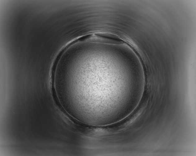 X0000088830787200706141519