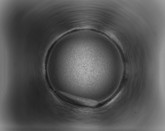 X0000088830789200706141519