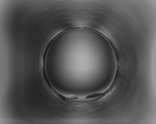 X0000088830790200706141519