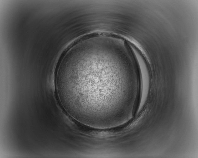 X0000088830791200706141519