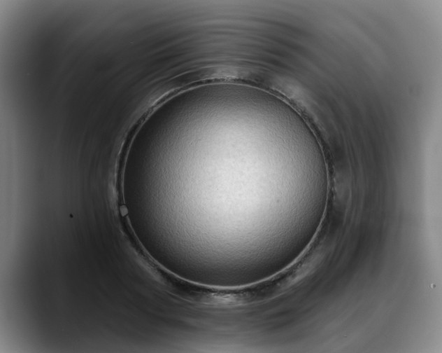 X0000088830794200706141519