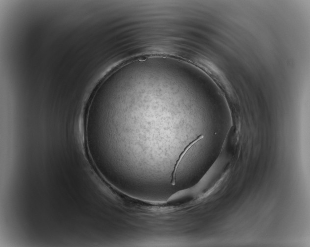 X0000088830796200706141519