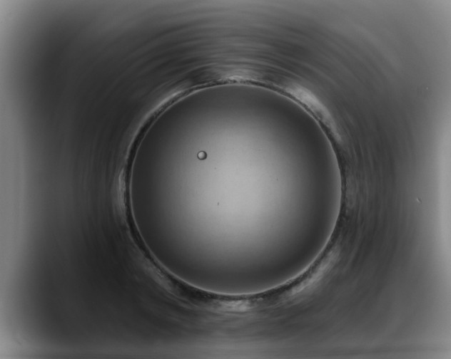 X0000088830798200706141519