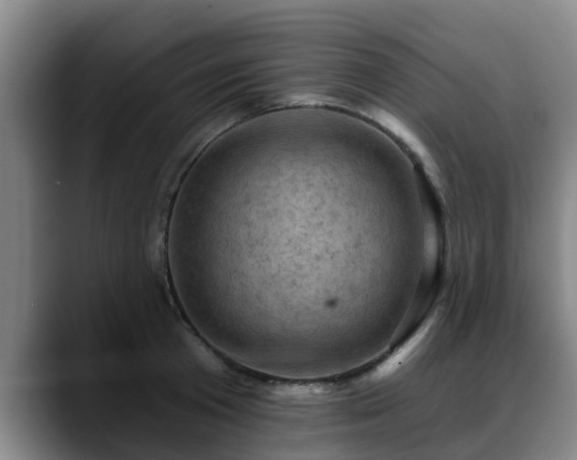 X0000088830801200706141519