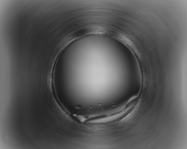 X0000088830802200706141519
