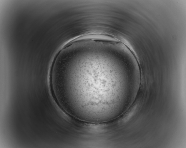 X0000088830803200706141519