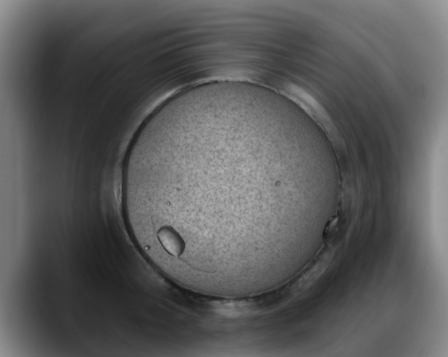 X0000088830804200706141519