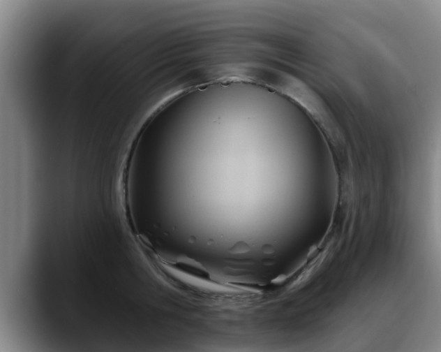 X0000088830806200706141519