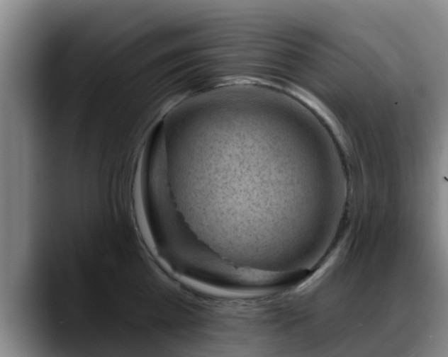 X0000088830809200706141519