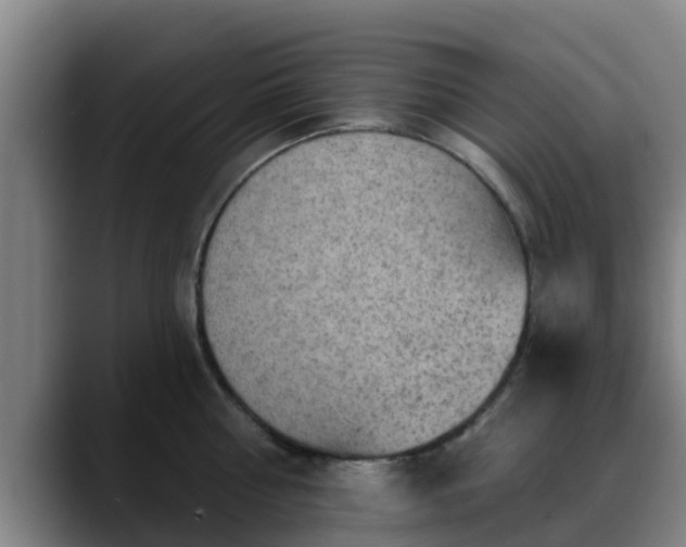 X0000088830810200706141519