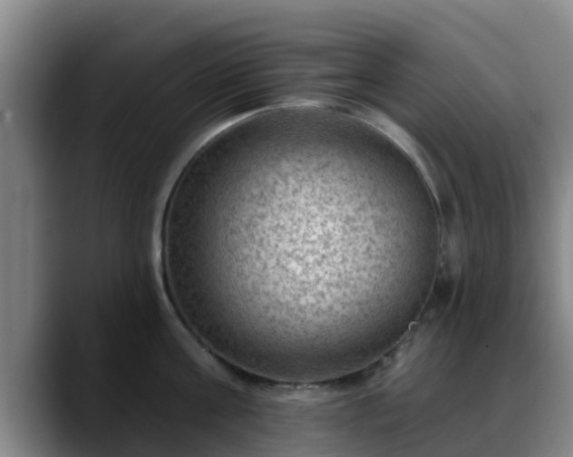 X0000088830811200706141519
