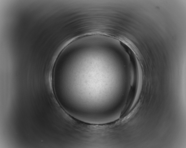 X0000088830812200706141519