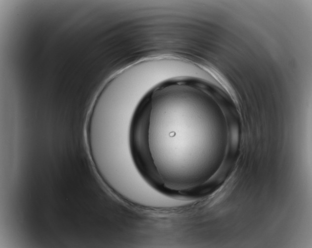 X0000088830813200706141519