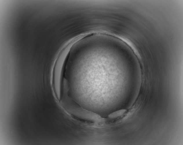 X0000088830815200706141519