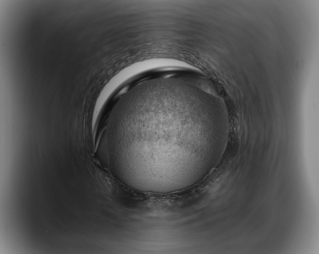 X0000088830818200706141519