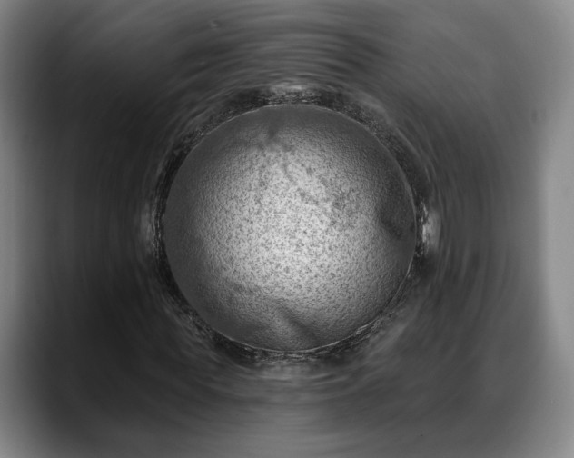 X0000088830819200706141519