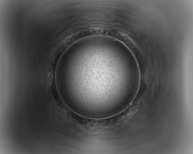 X0000088830821200706141519